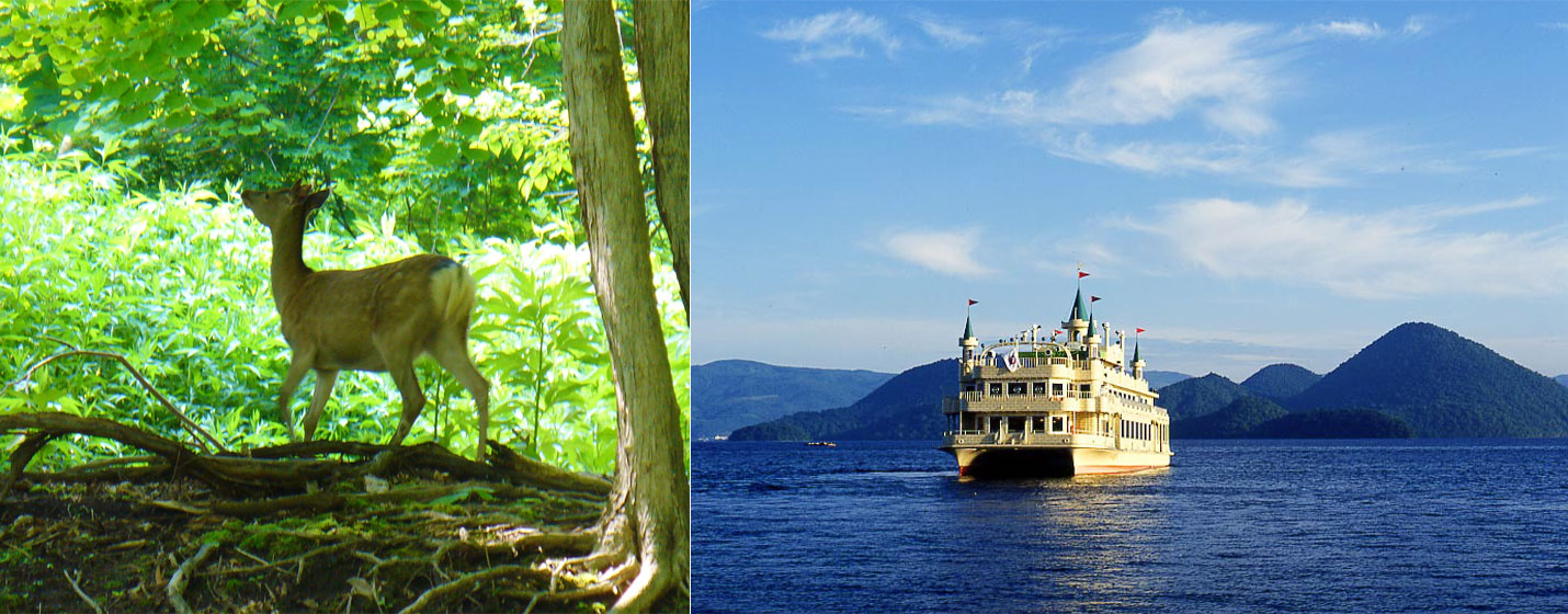 洞爺湖遊覧船から豊かな自然を眺める